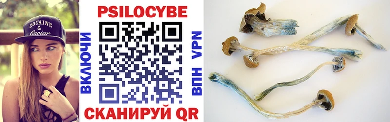 даркнет сайт  Алдан  Псилоцибиновые грибы GOLDEN TEACHER 